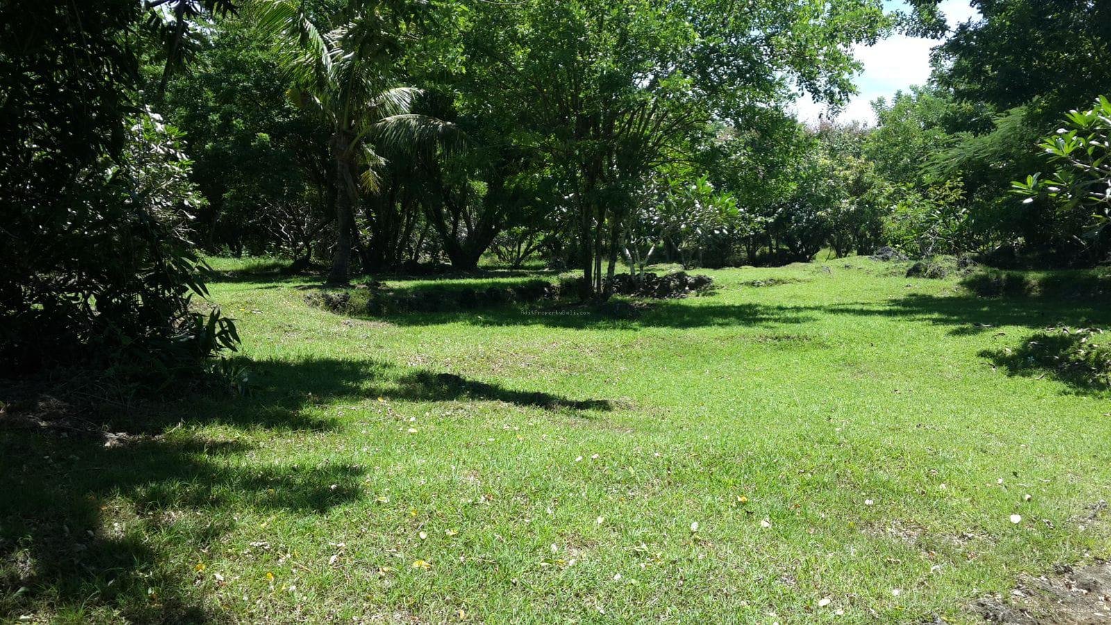 Tanah tebing pantai green bowl jimbaran