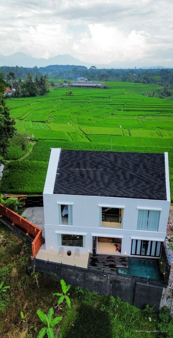 Brand New Villa Rice Field View Singakerta Ubud Gianyar