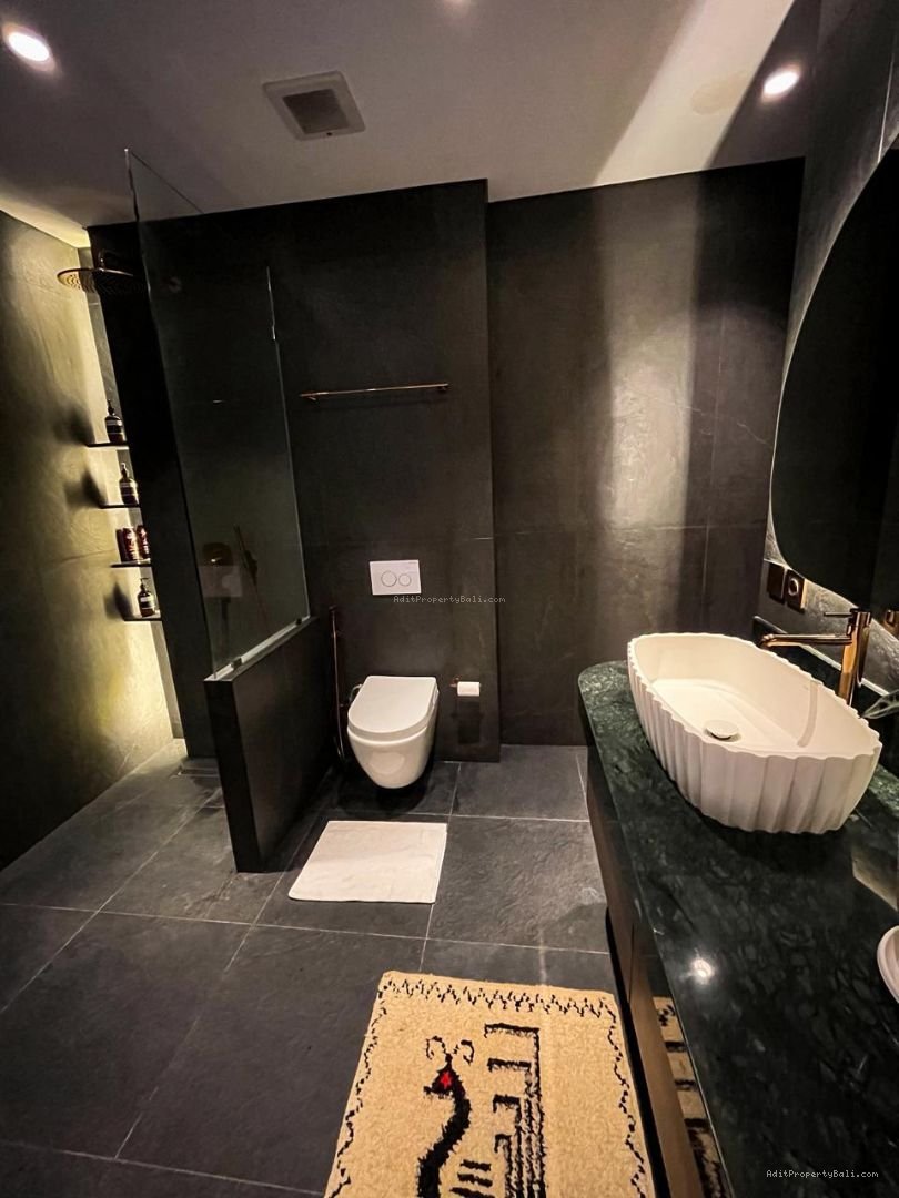 Brand New Villa Rice Field View Singakerta Ubud Gianyar