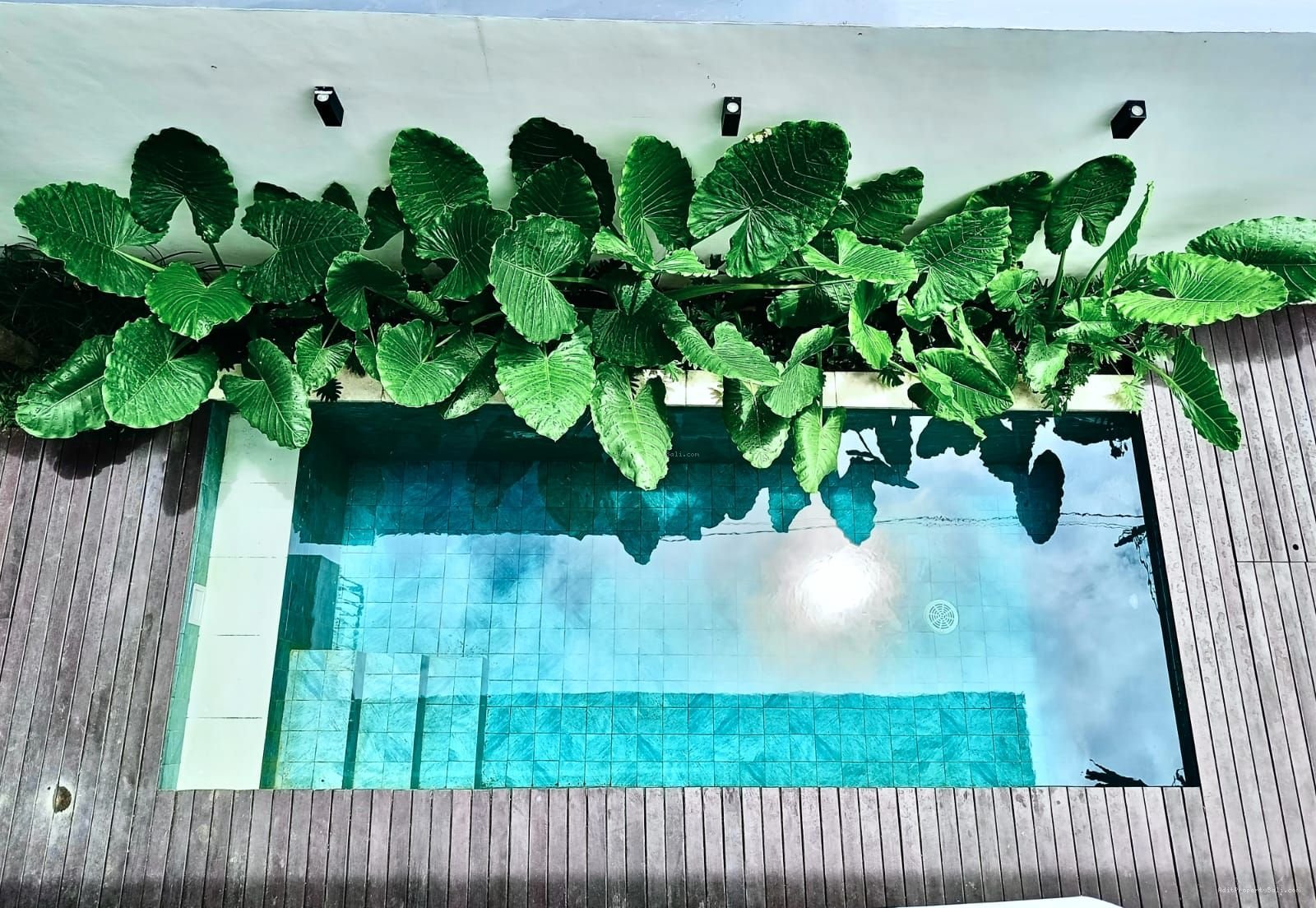 Villa ungasan jimbaran