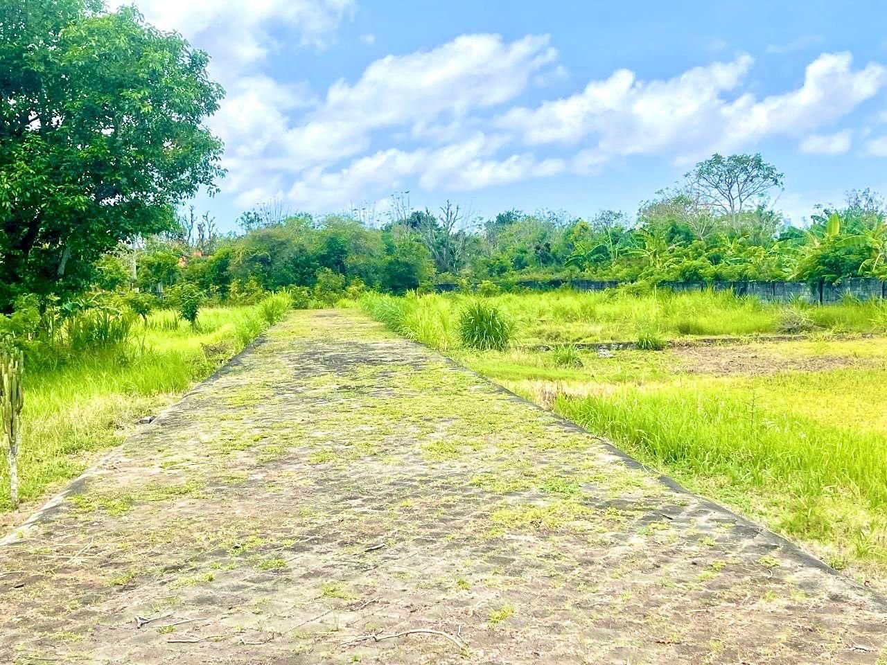 Tanah pantai balangan pecatu