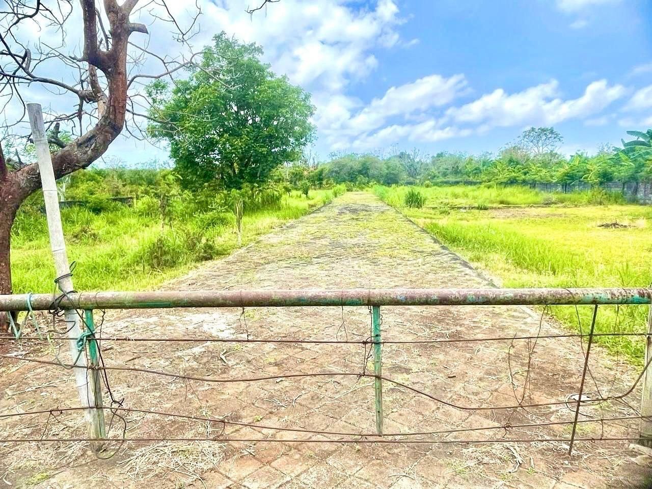 Tanah pantai balangan pecatu