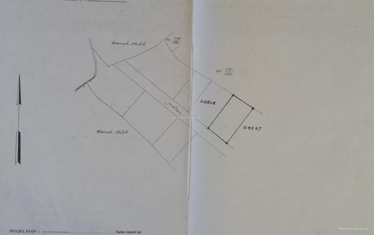 Tanah padonan canggu