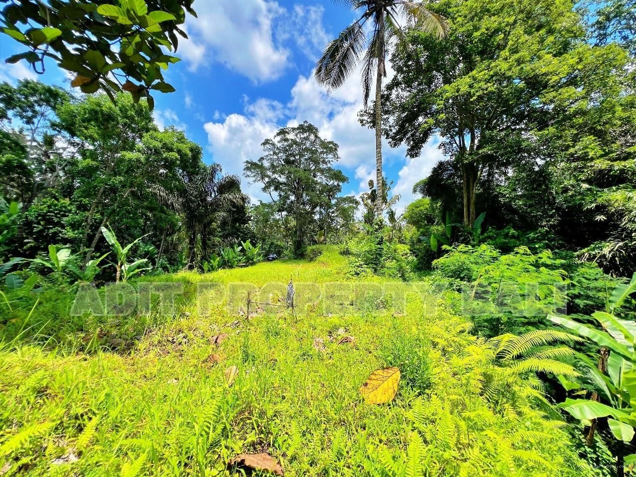 Tanah jungle payangan ubud