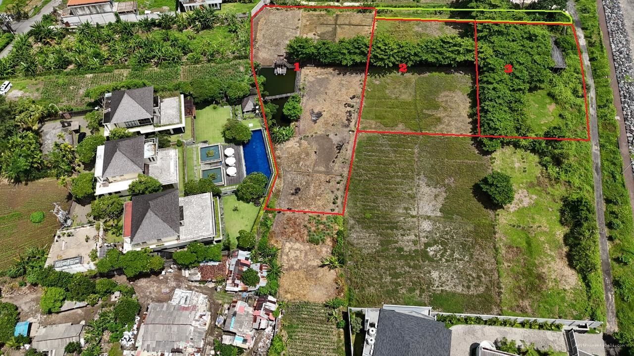 Tanah lost pantai padang galak sanur