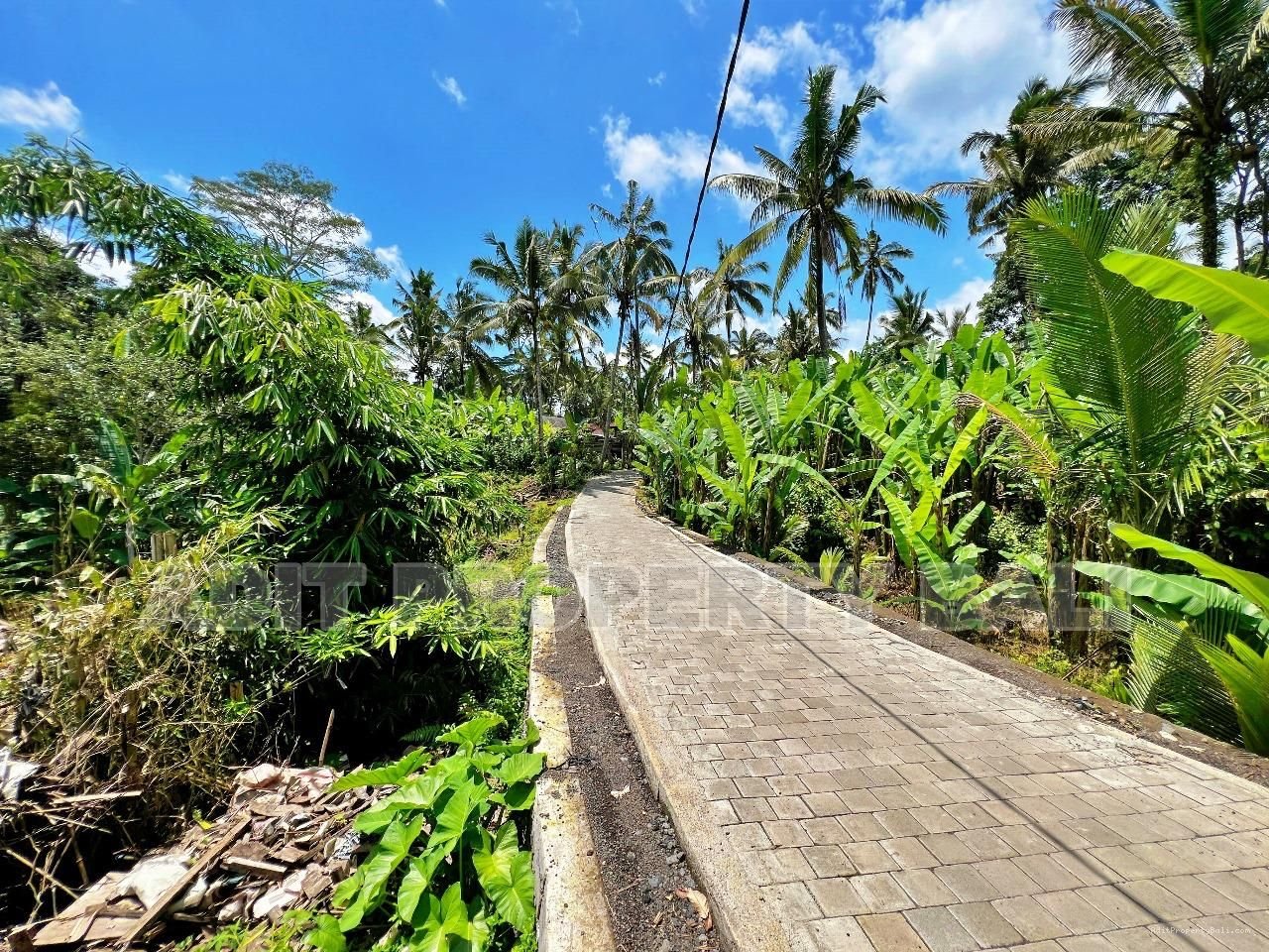 Tanah View Jungle & Sungai Payangan Ubud Gianyar