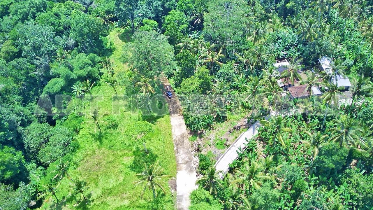 Tanah View Jungle & Sungai Payangan Ubud Gianyar