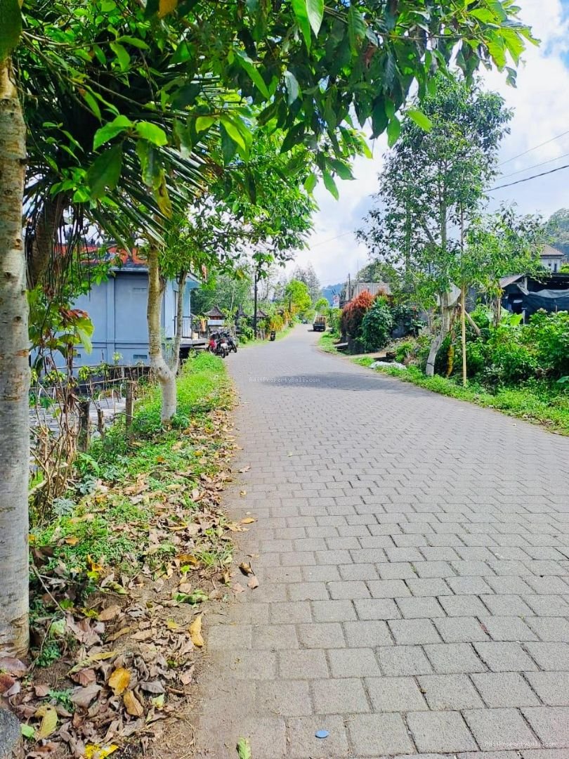 Tanah bedugul tabanan