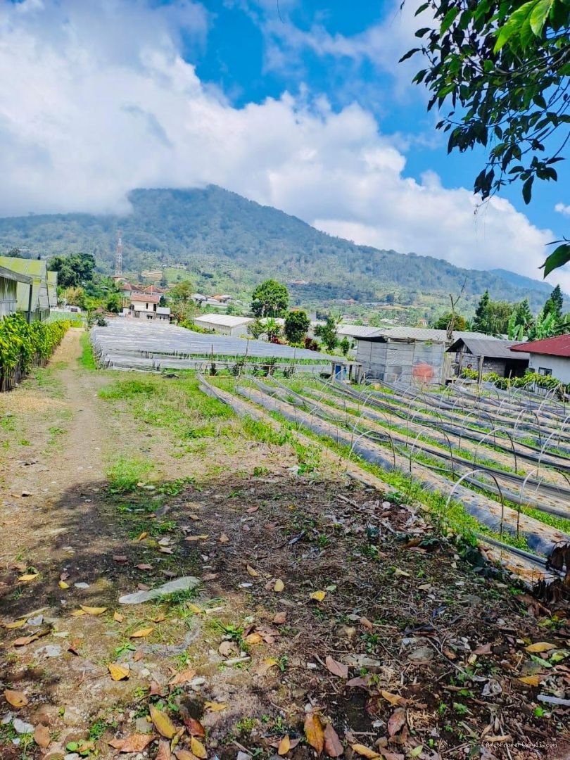 Tanah bedugul tabanan