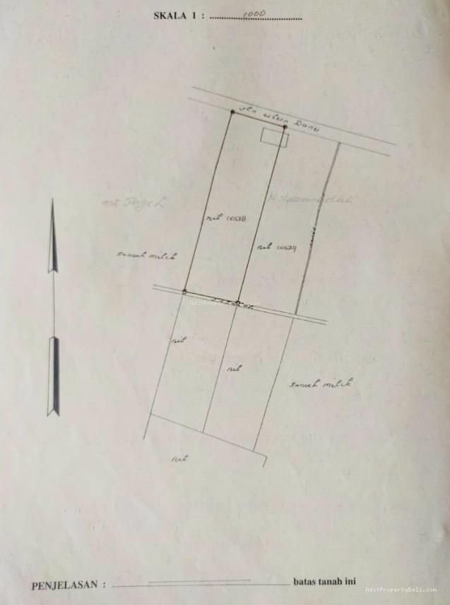 Tanah bedugul tabanan