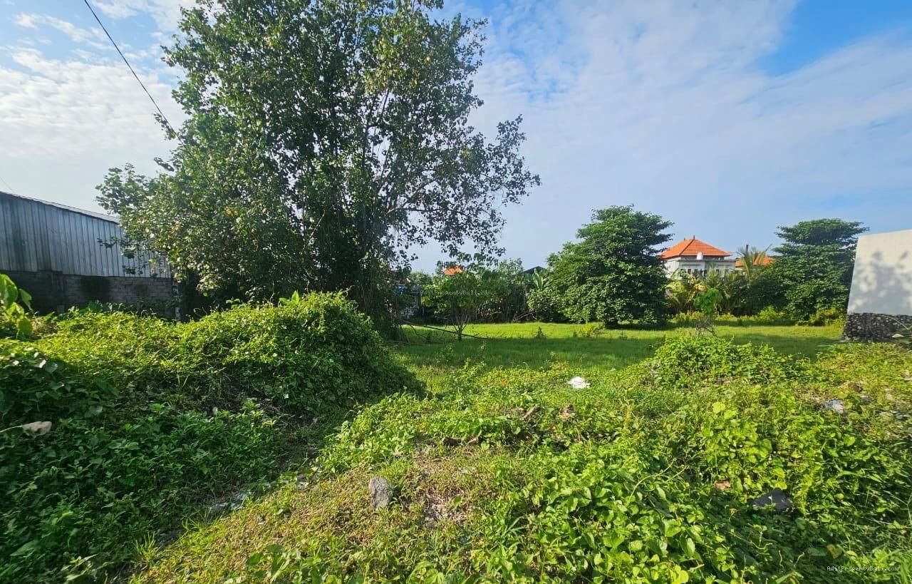 Tanah murah munggu mengwi