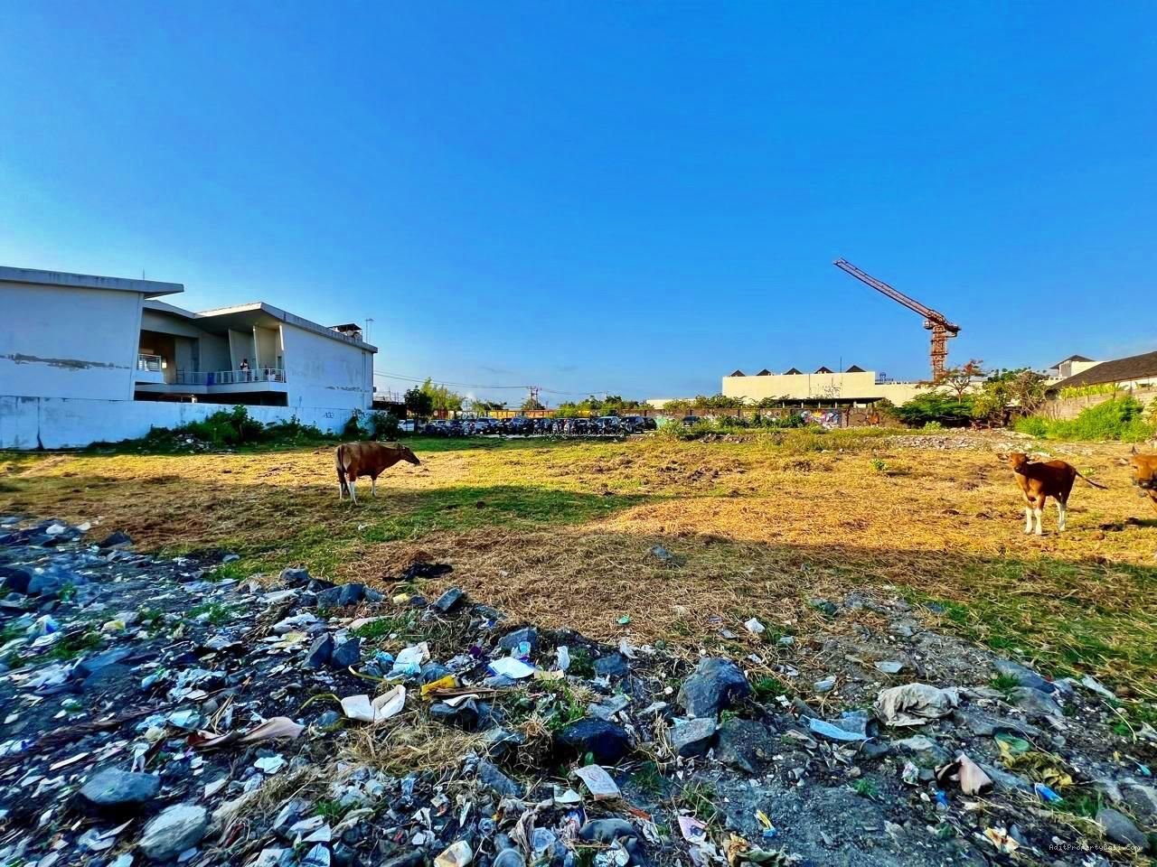 Tanah Raya Pantai Batu Bolong Canggu Badung