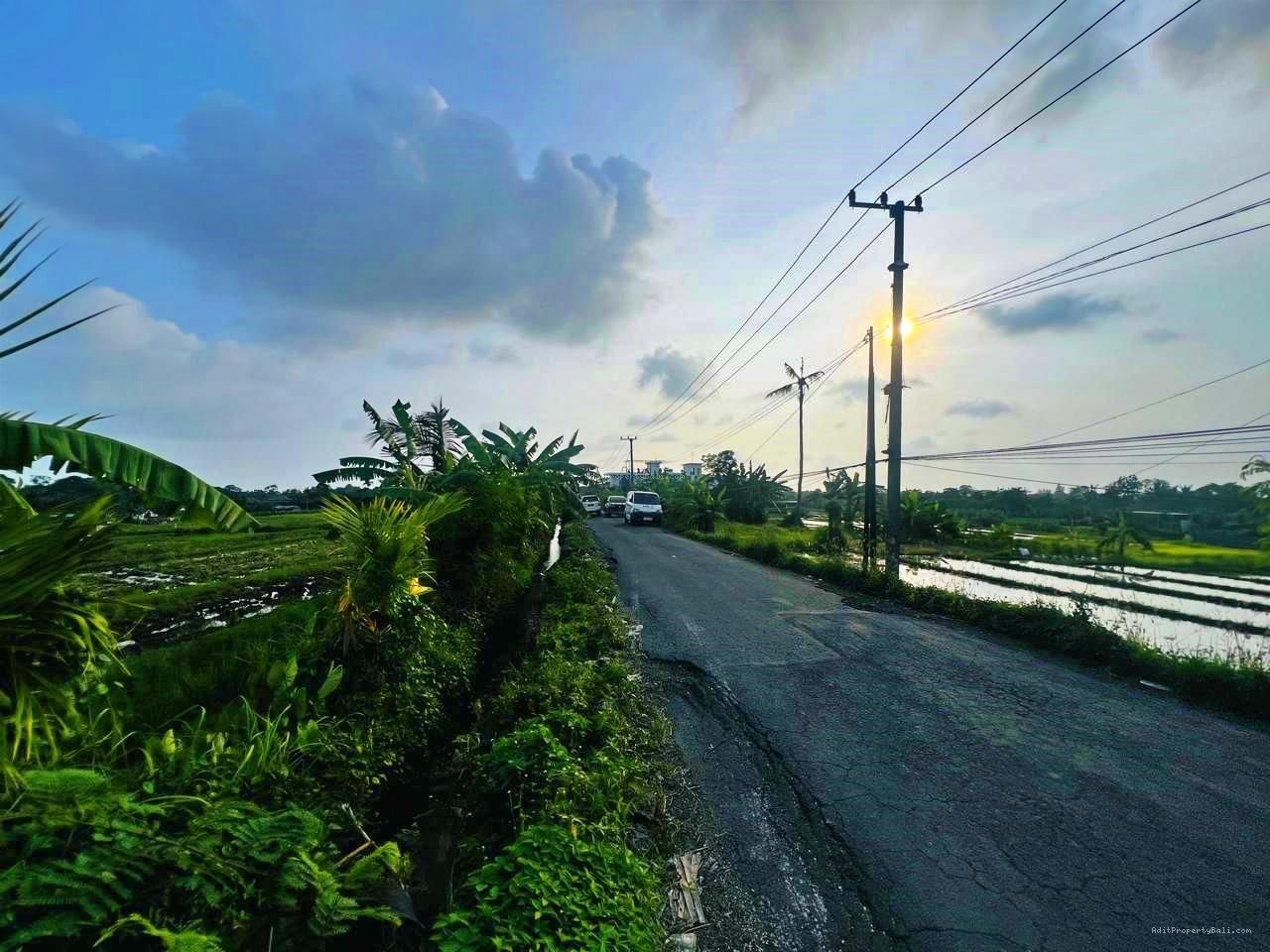 Tanah View Sawah Pantai Nyanyi Kediri Tabanan