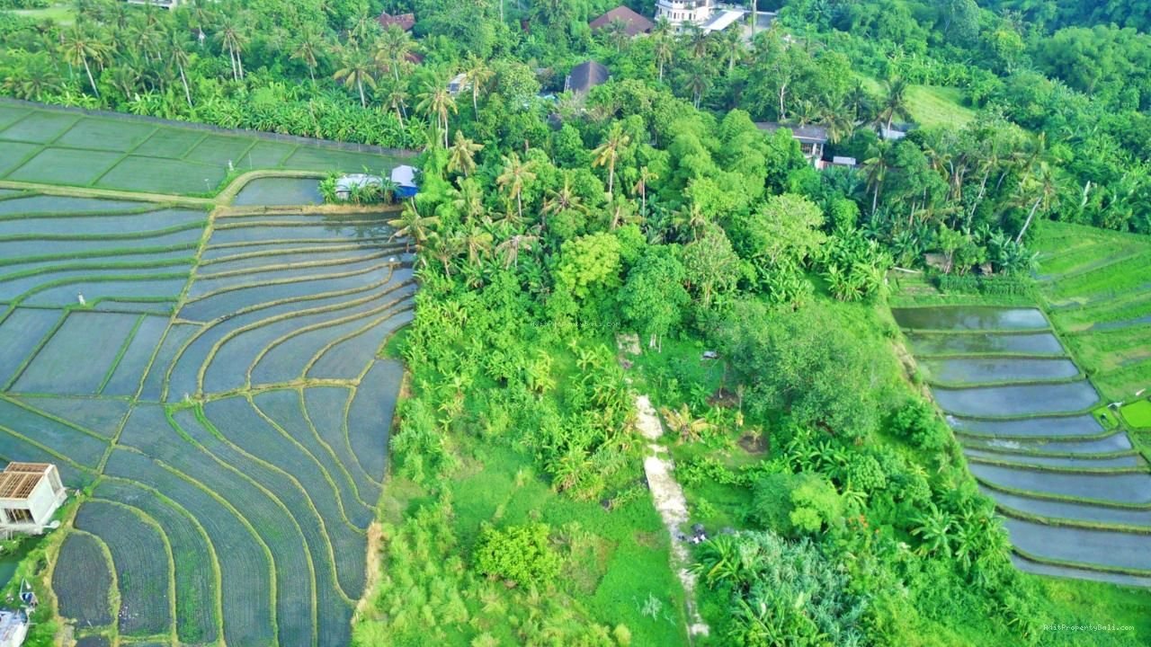 Tanah View Sawah Pantai Nyanyi Kediri Tabanan