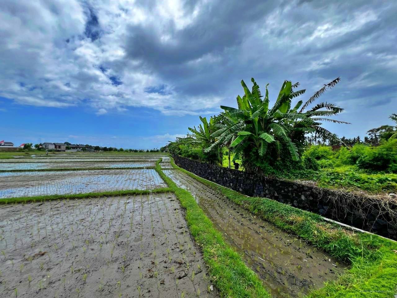 Tanah Premium Kebo Iwa Kediri Tabanan