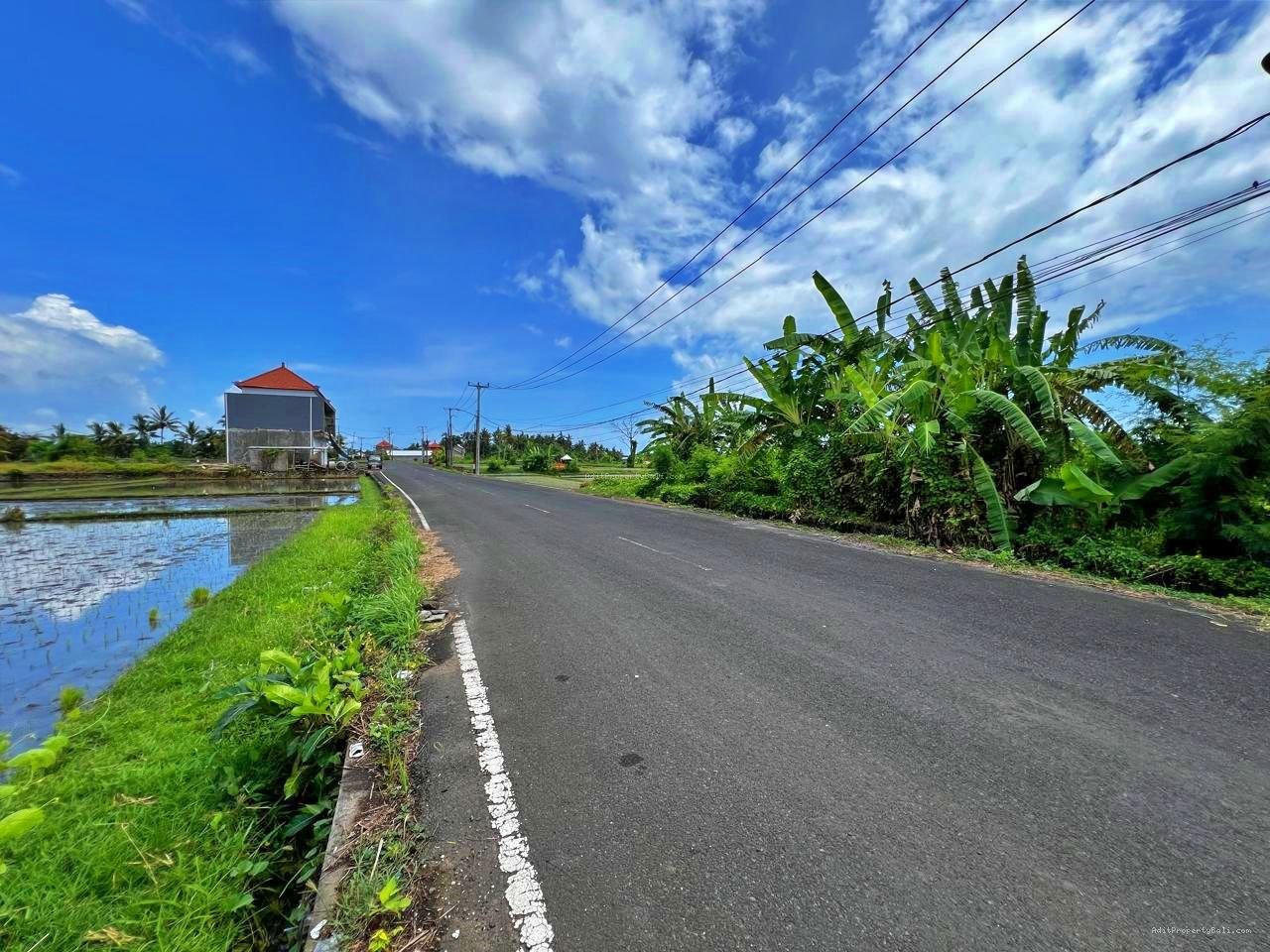 Tanah Premium Kebo Iwa Kediri Tabanan