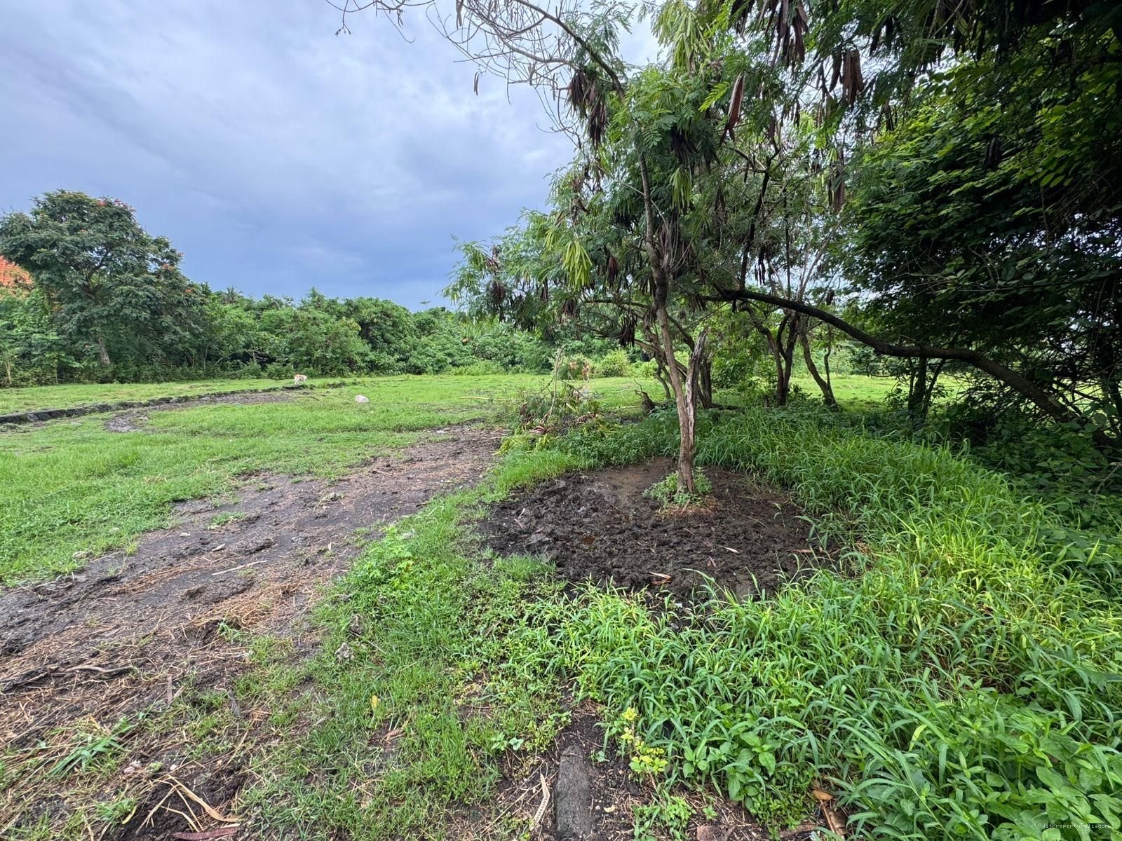 Tanah pantai nyanyi tabanan