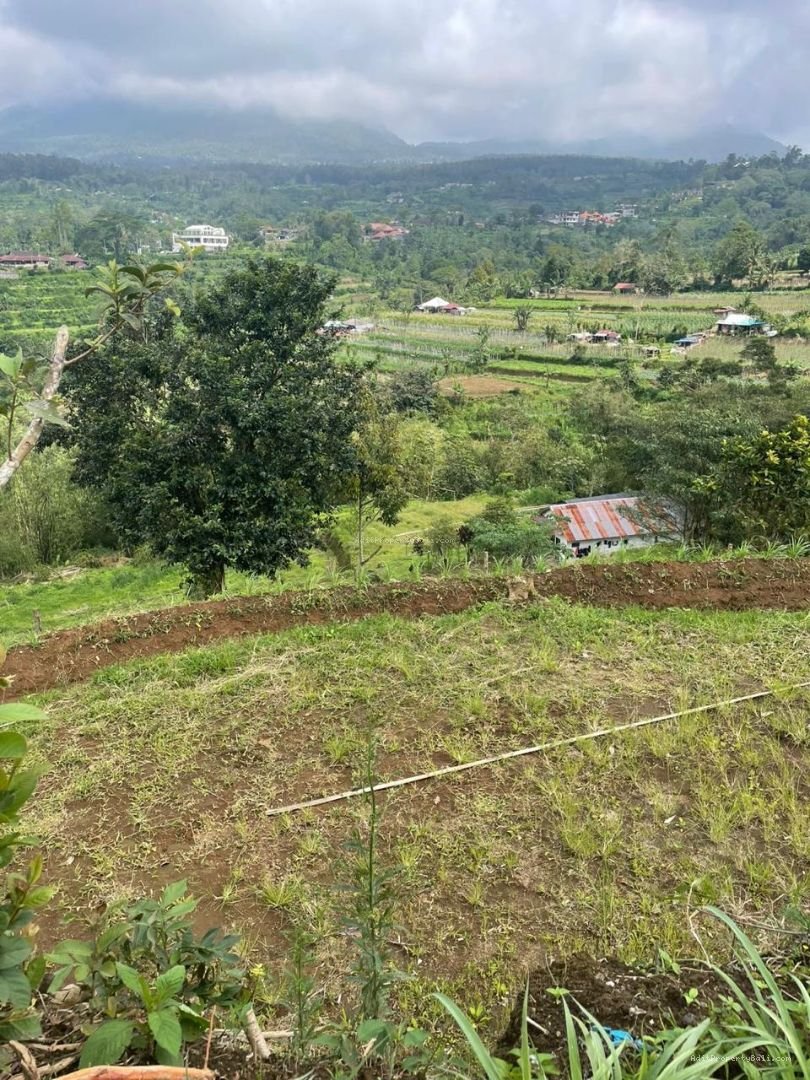 Tanah View bukit baturiti tabanan