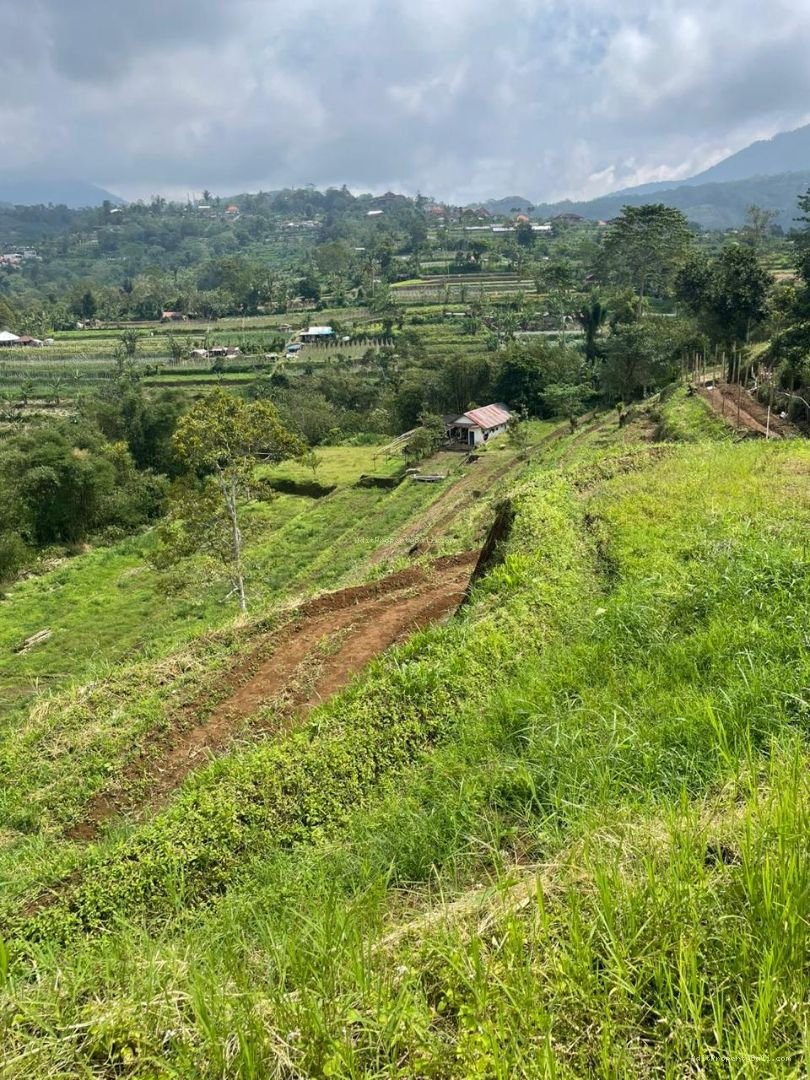 Tanah View bukit baturiti tabanan
