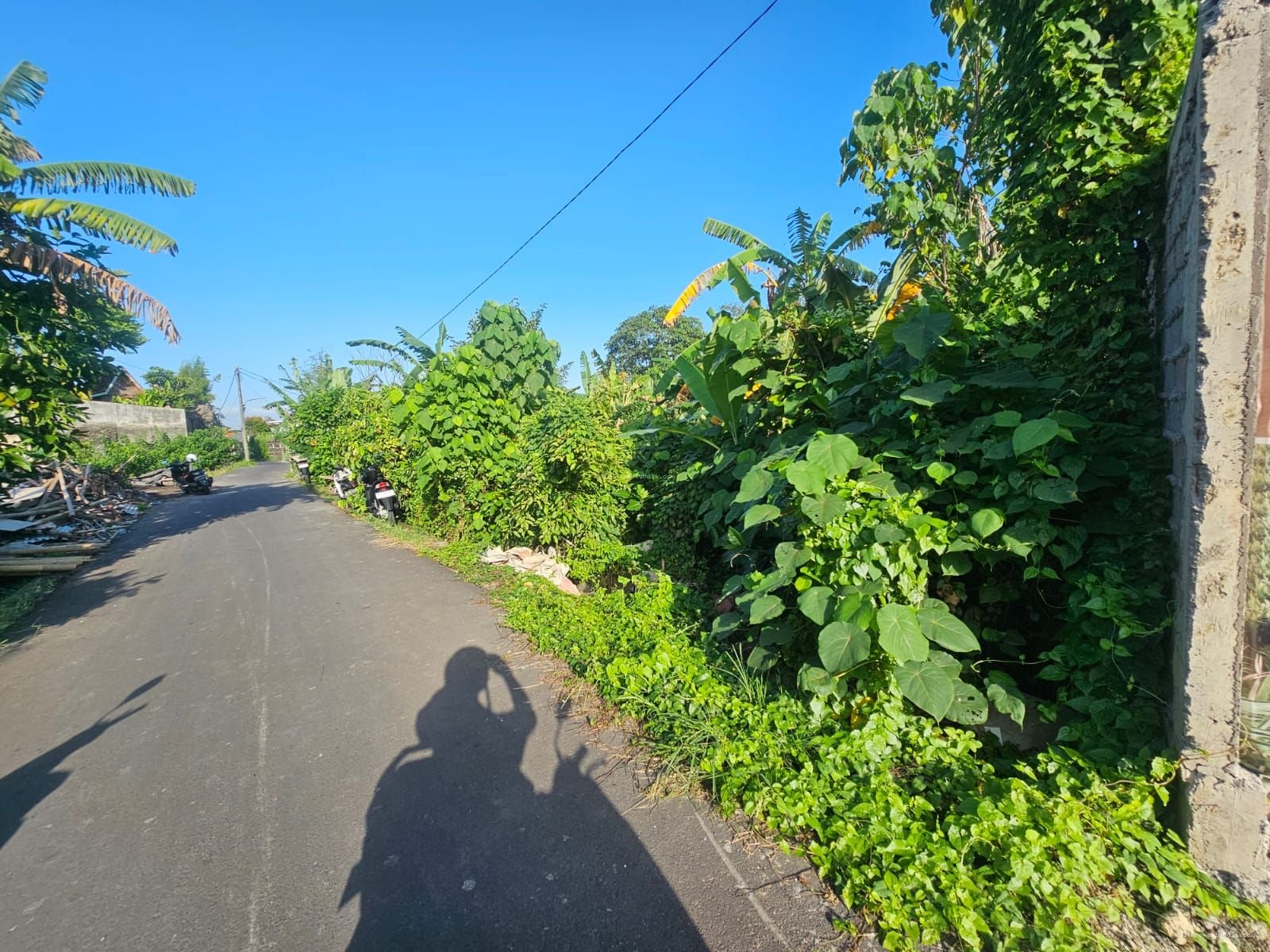 Tanah Jantuk angsa pererenan canggu