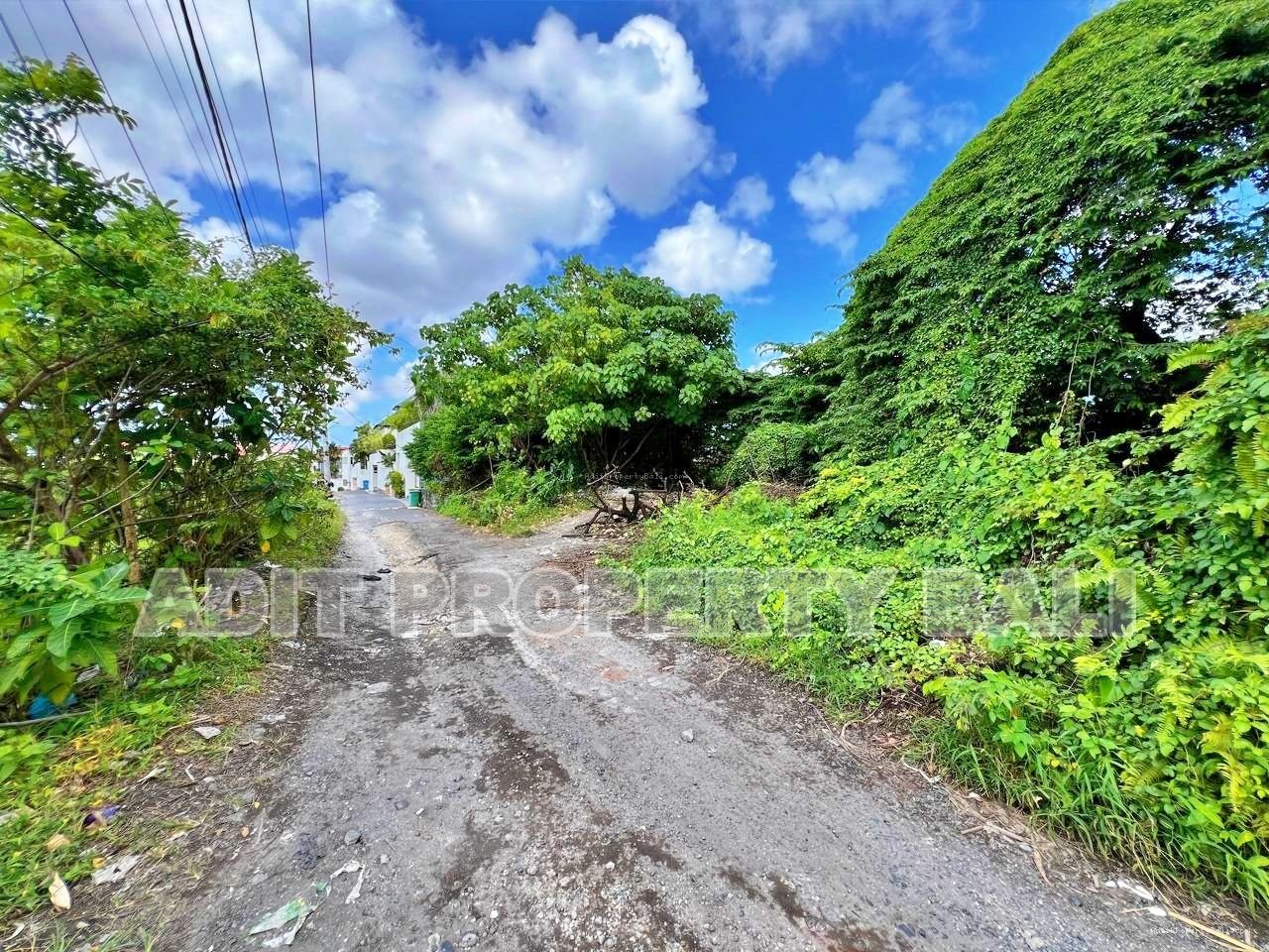 Tanah pantai batubolong canggu