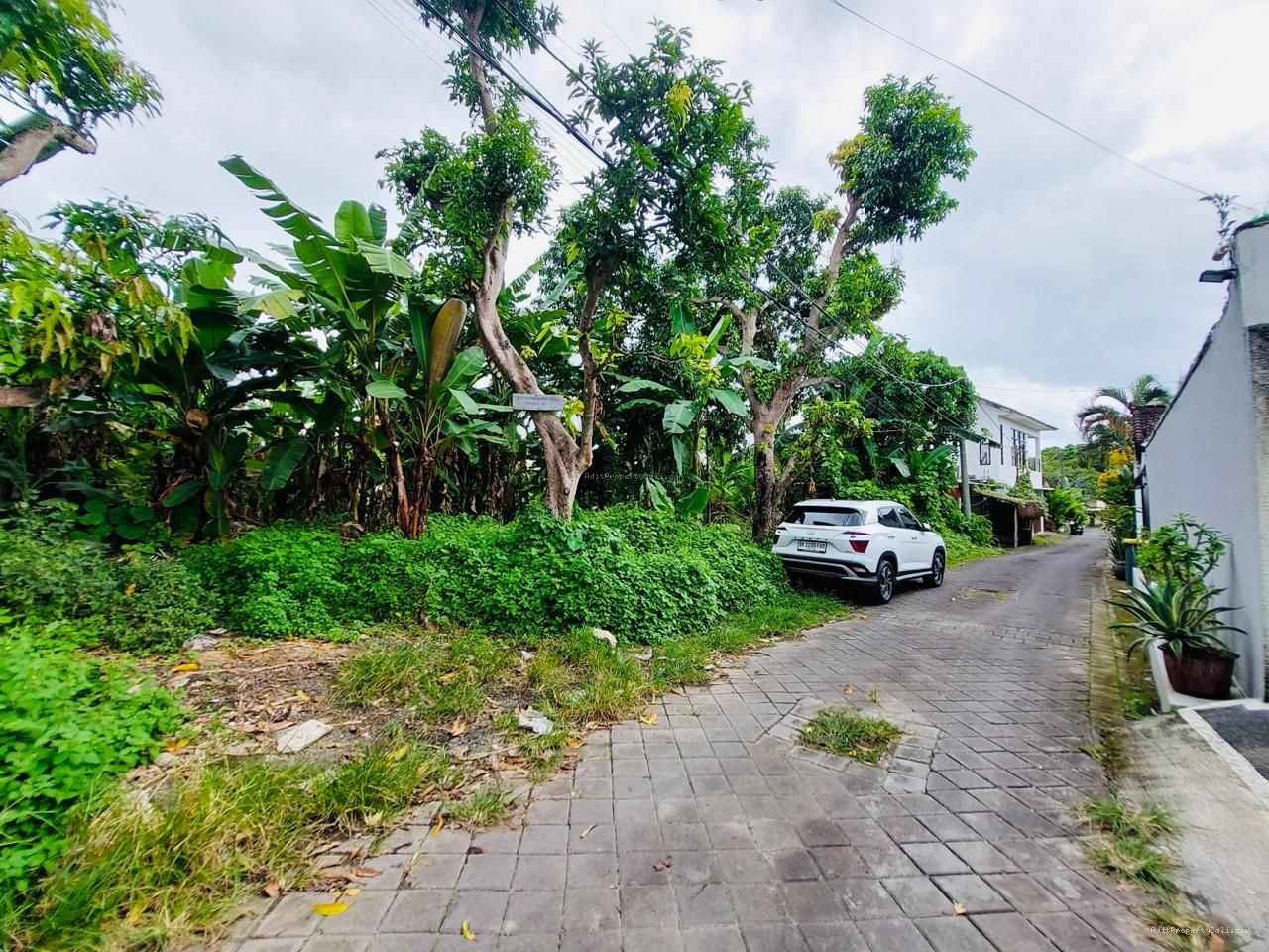 Tanah langka tumbak bayuh mengwi