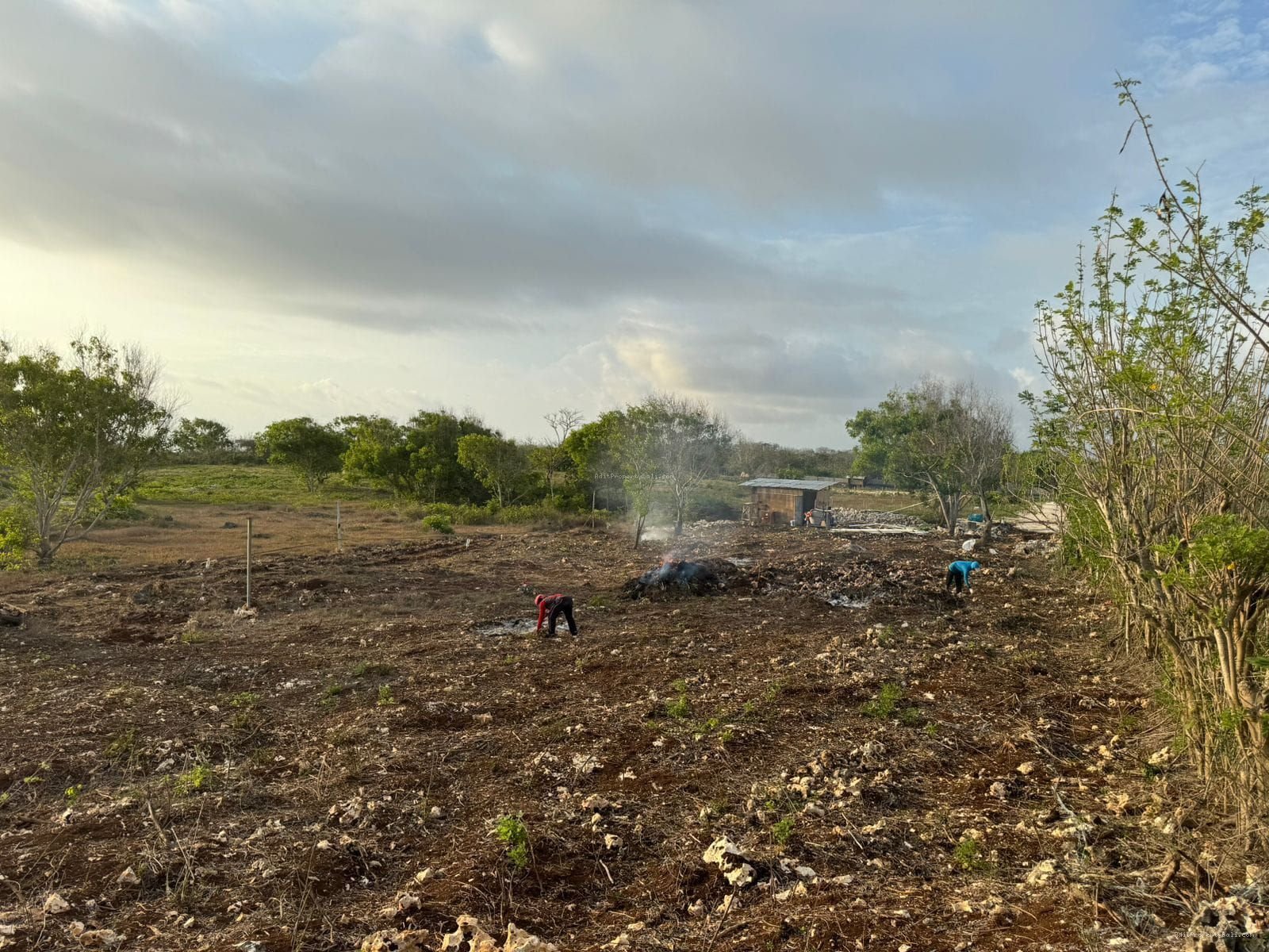 Tanah tebing uluwatu jimbaran