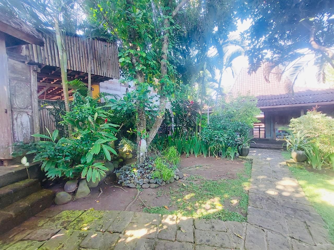 Tanah berawa canggu bali