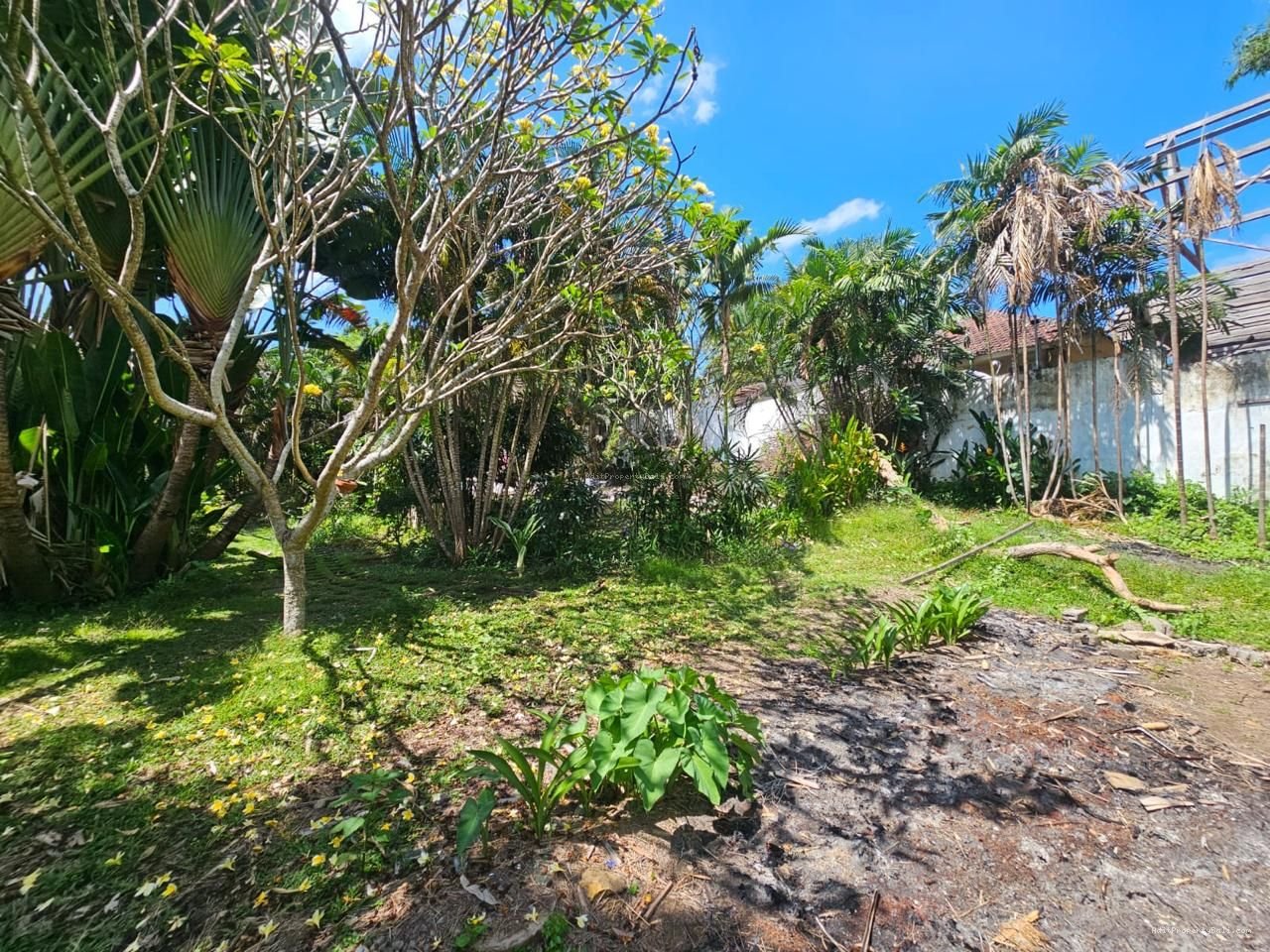 Tanah Premium Batubolong Canggu Badung