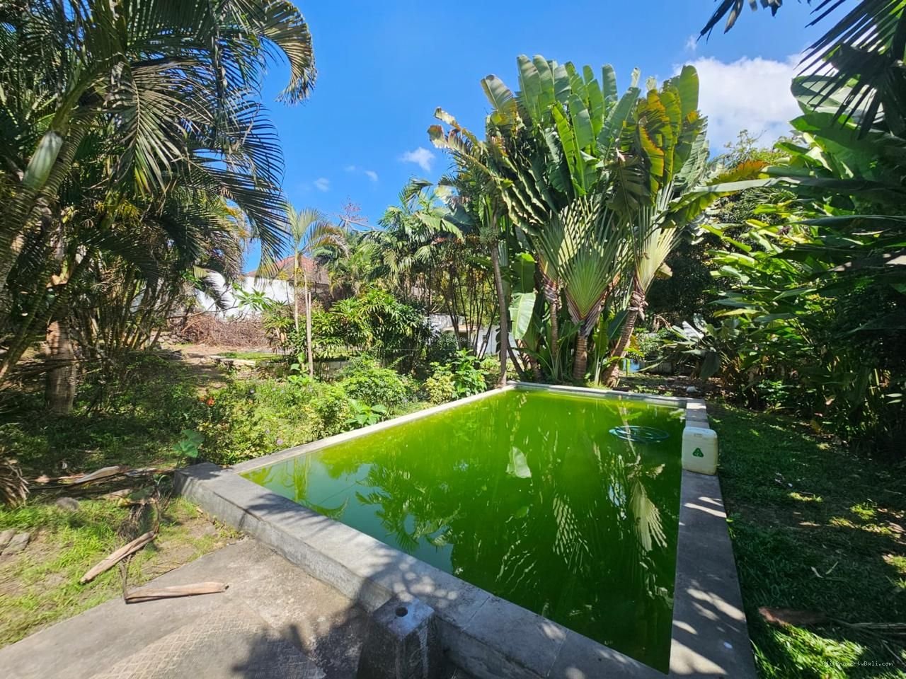 Tanah Premium Batubolong Canggu Badung