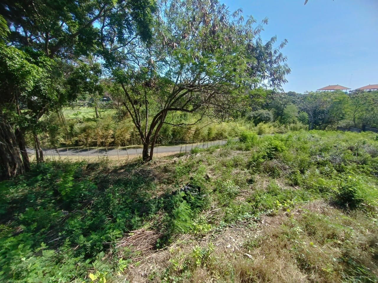 Tanah Murah Ocean View Pecatu Badung