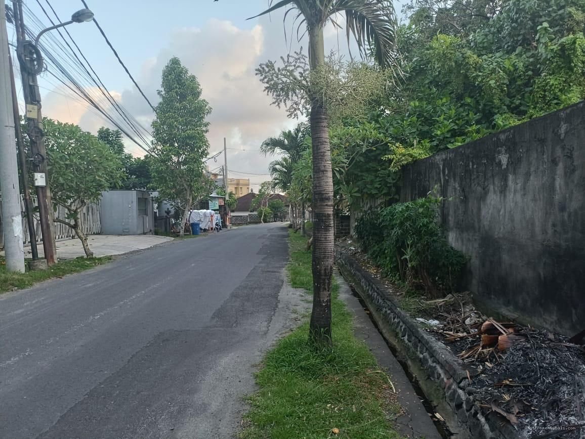 Tanah Kayu Tulang Utara Canggu Badung