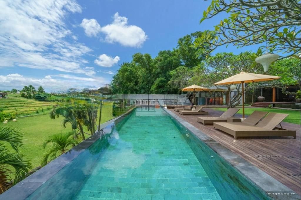 Tanah View Sawah babakan Canggu Badung