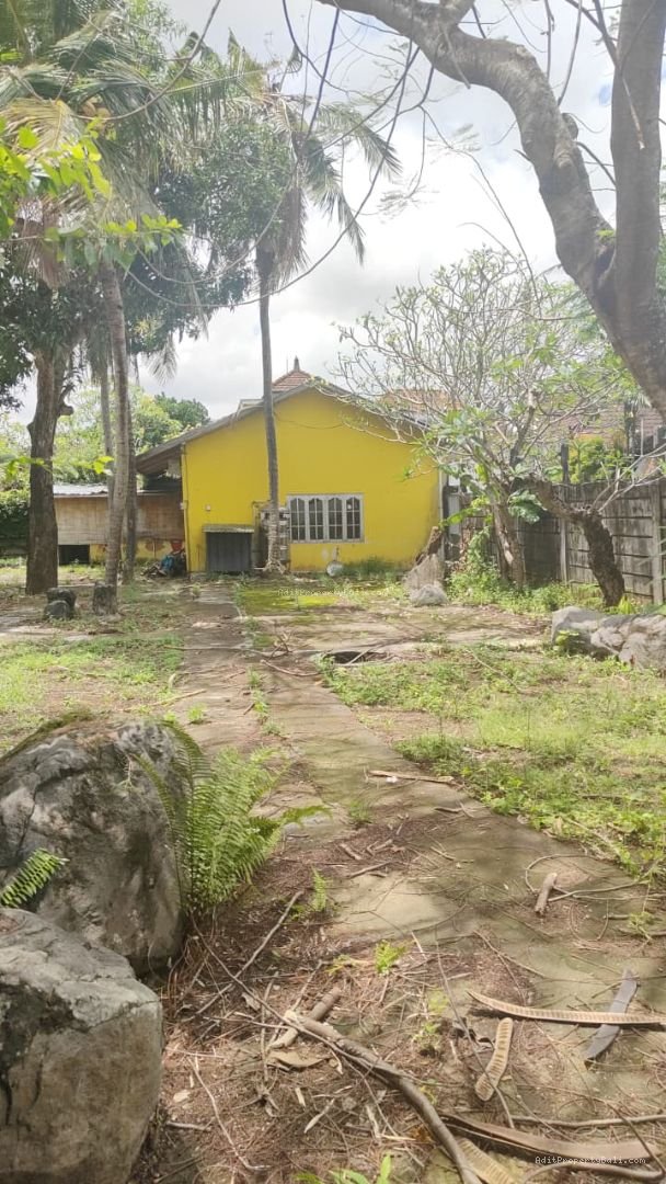 Tanah Langka Raya Pantai Berawa Canggu Badung