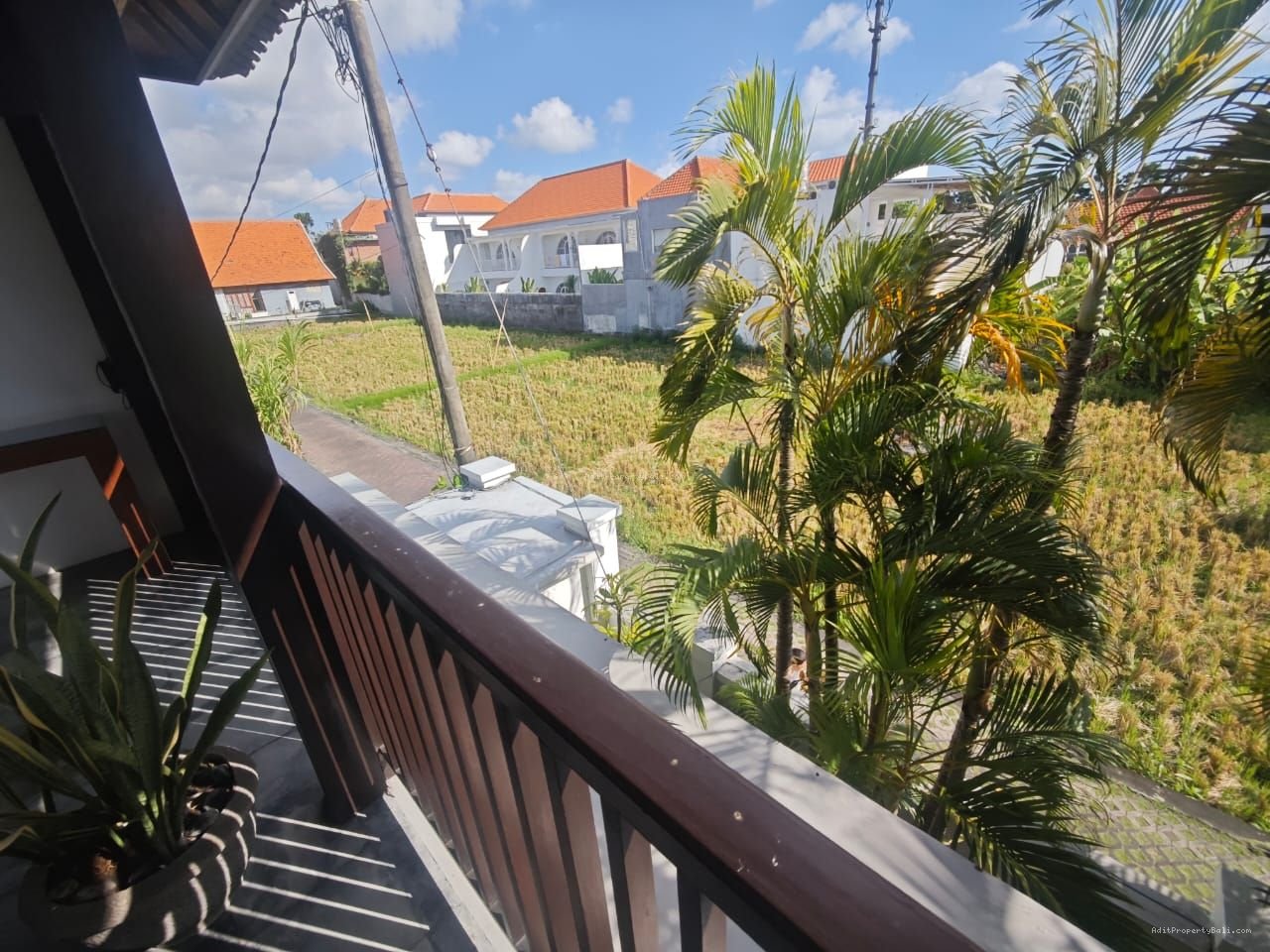 Villa view sawah berawa canggu