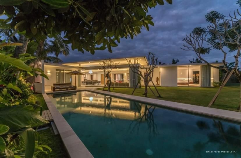 Villa babakan canggu