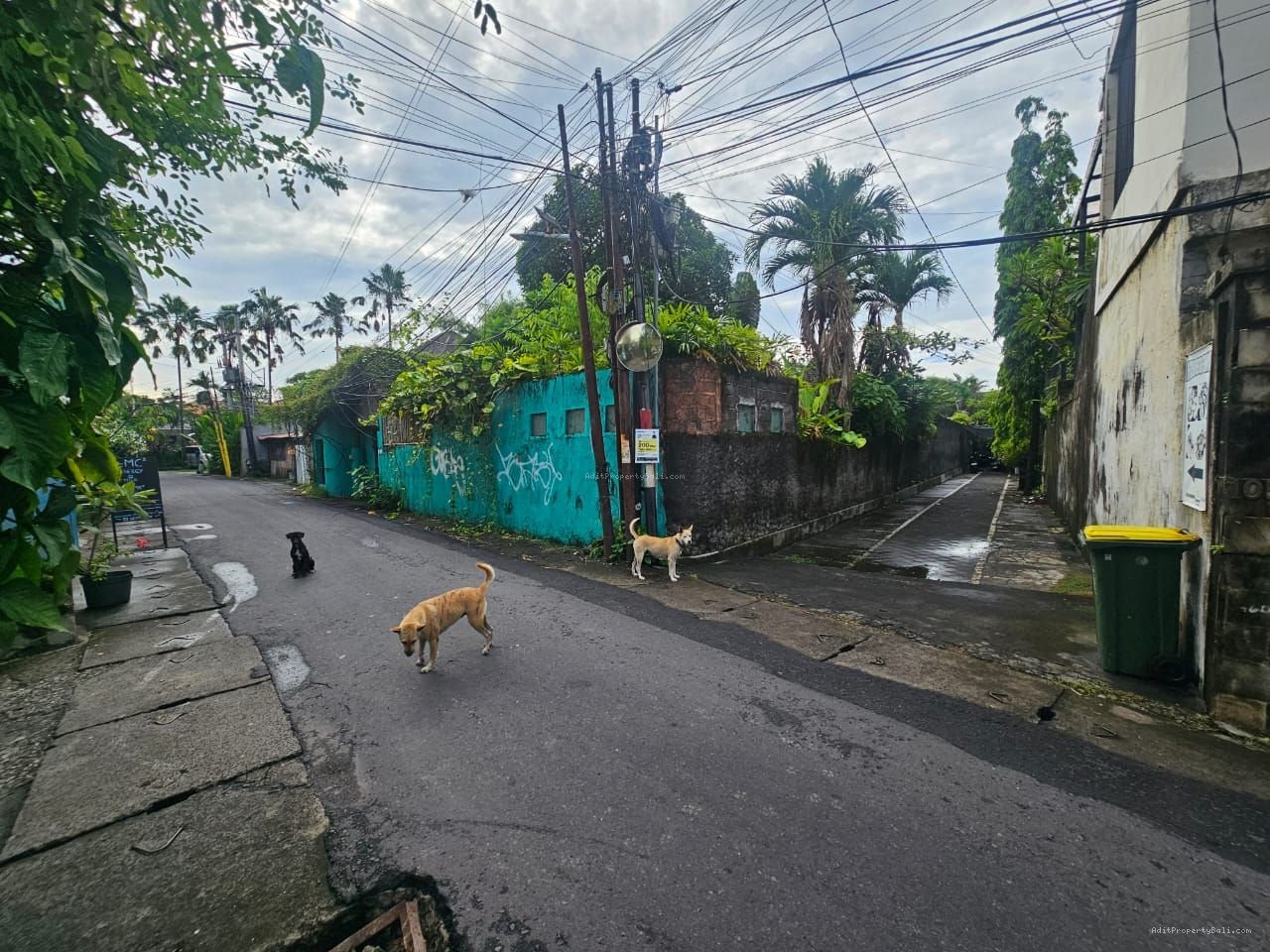 Tanah petitenget seminyak bali