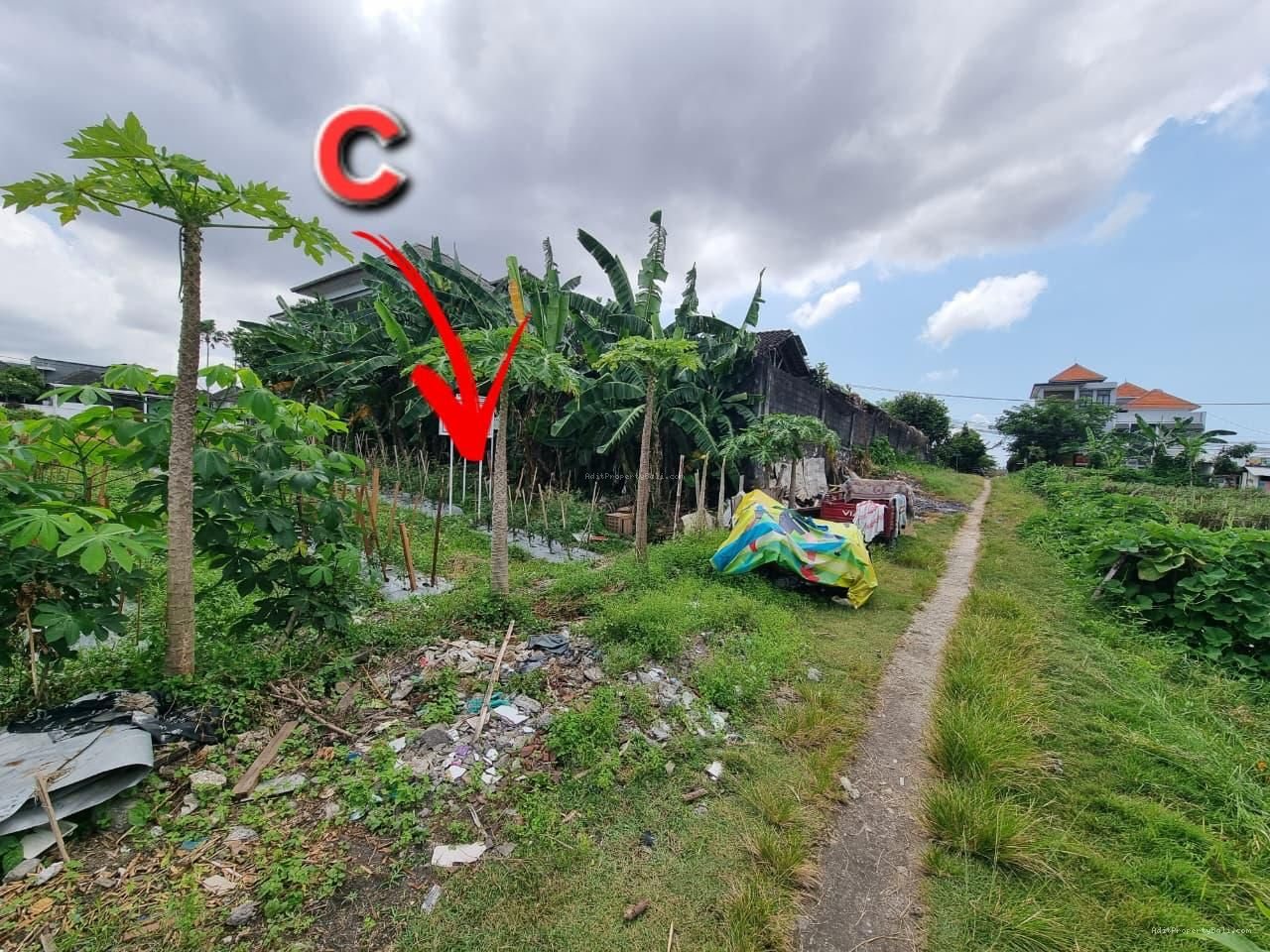 Tanah murah pura demak denpasar