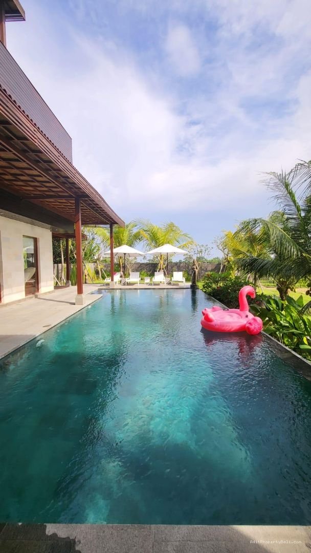 Villa Rice field view cemagi