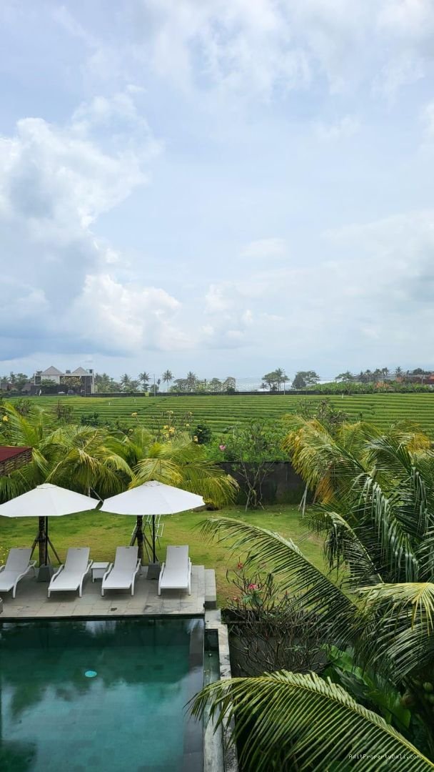 Villa Rice field view cemagi