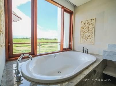 Villa Rice field view cemagi