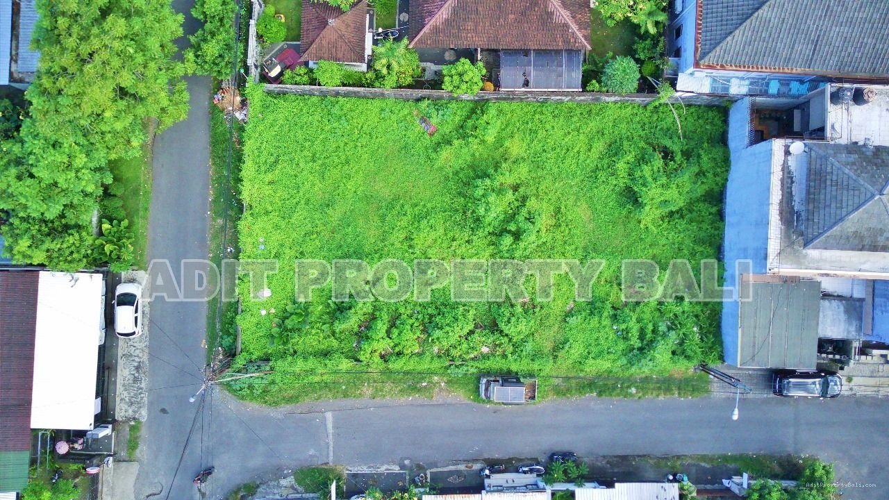 Tanah Badak agung renon