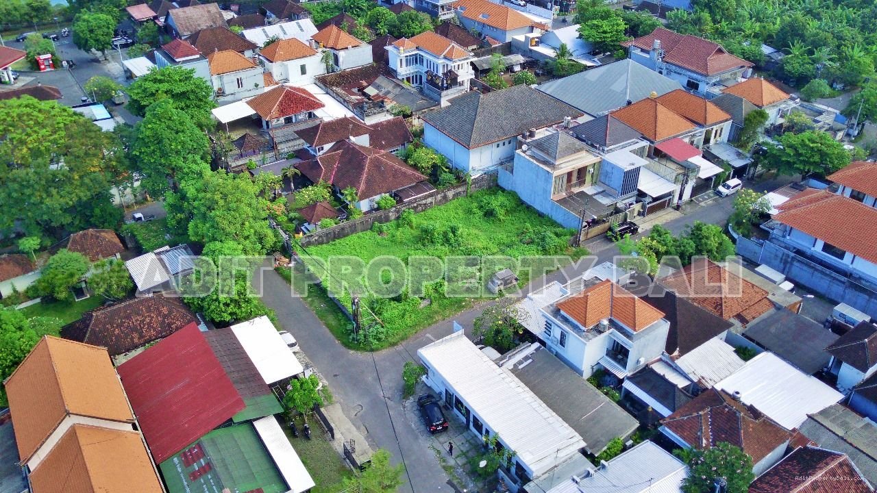 Tanah Badak agung renon