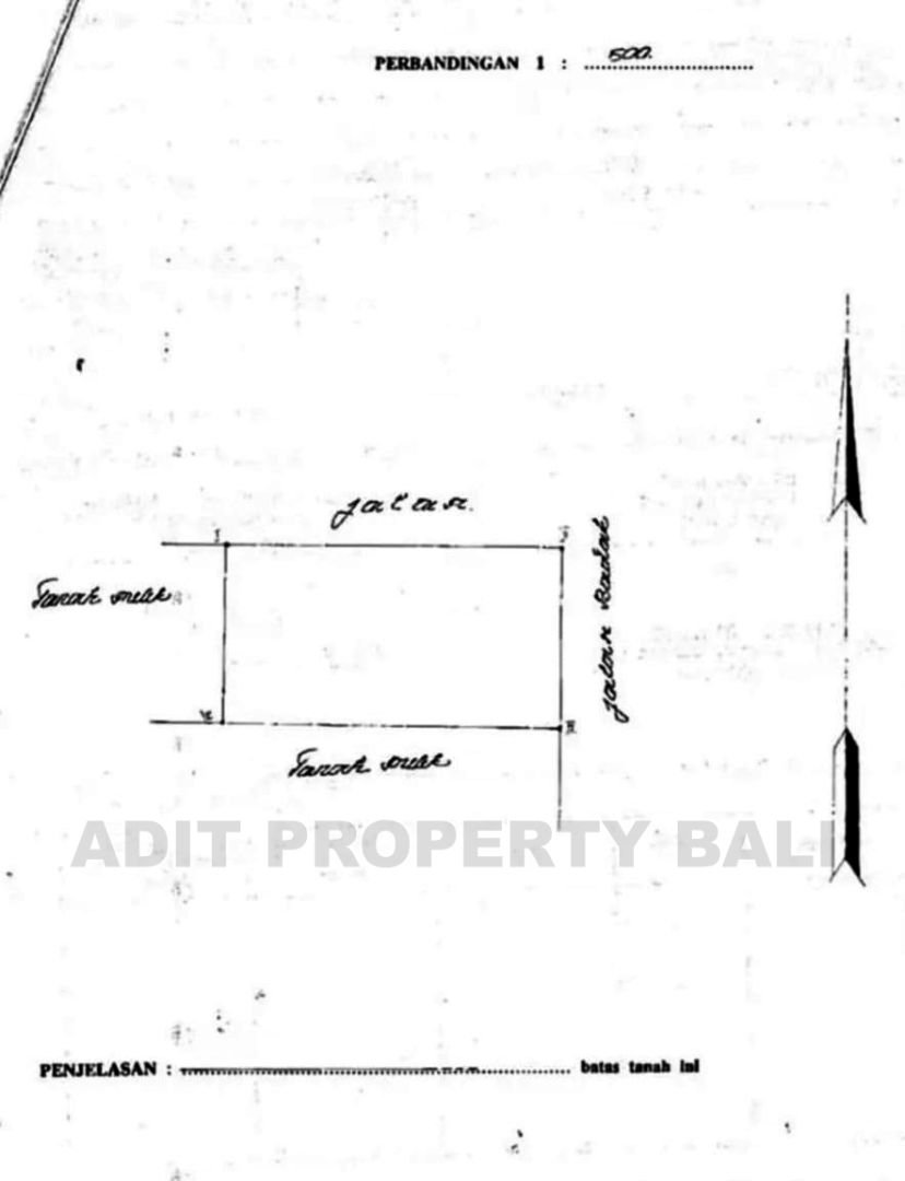 Tanah Badak agung renon