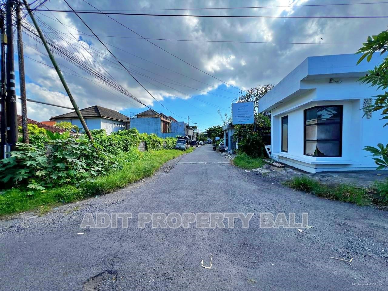 Tanah Badak agung renon