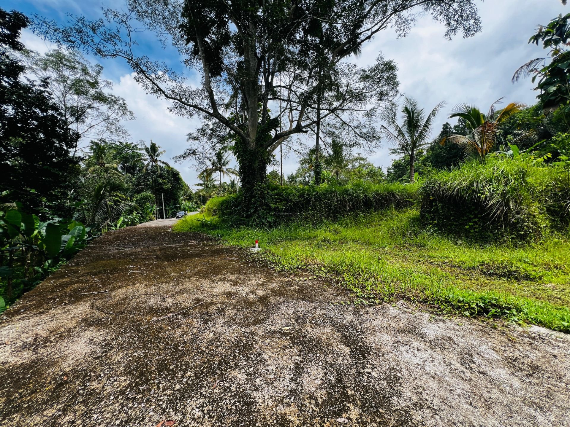 Tanah murah jungle payangan ubud