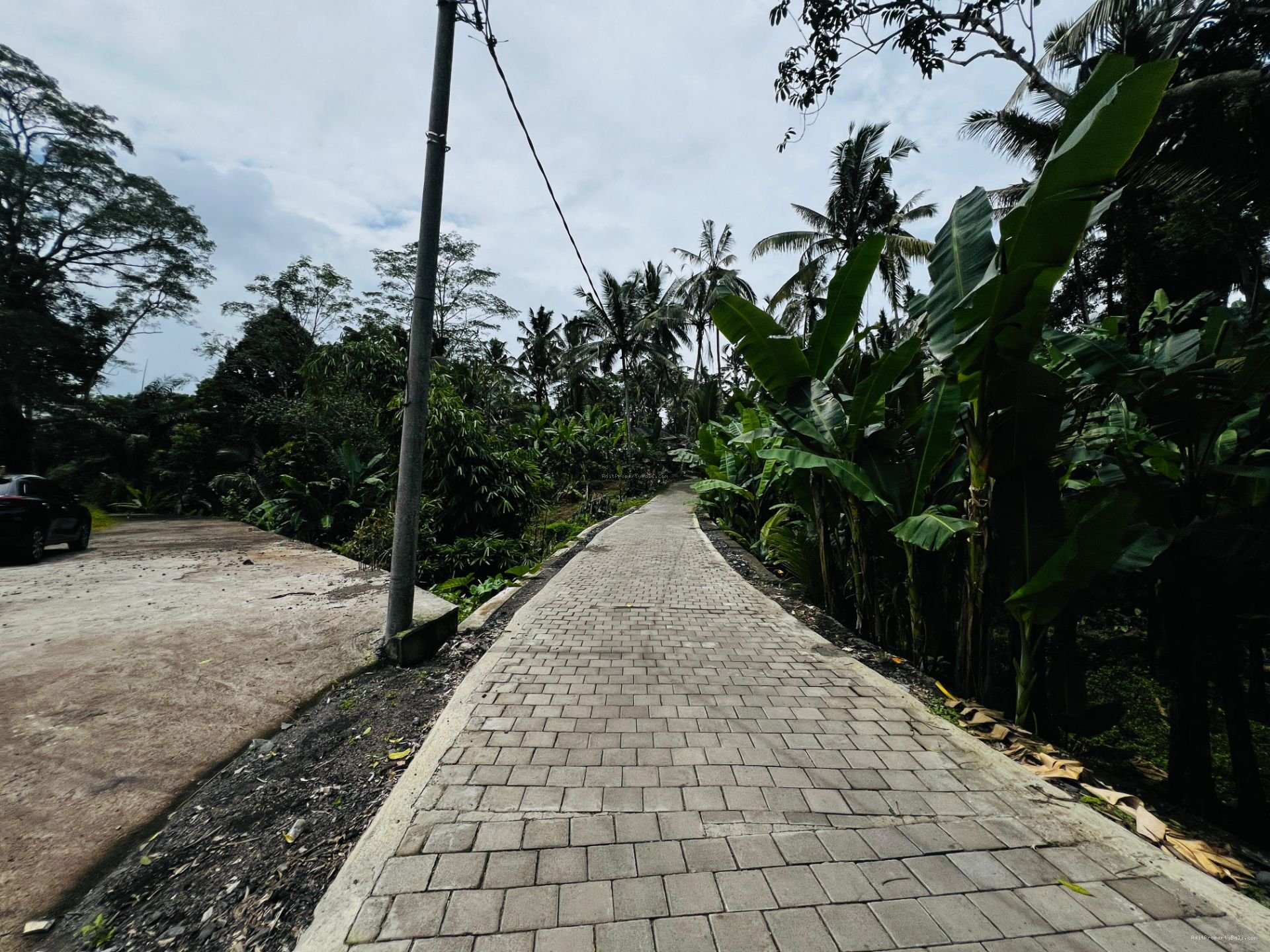 Tanah murah jungle payangan ubud