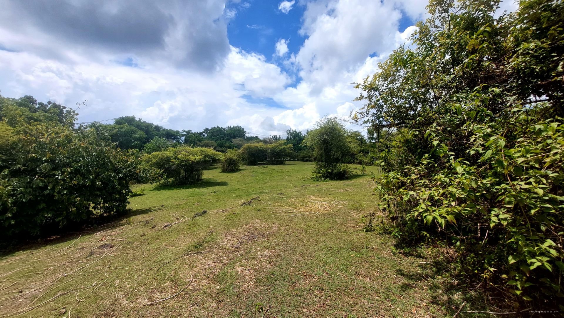 Tanah Ocean View Raya Nusa Dua Selatan Badung