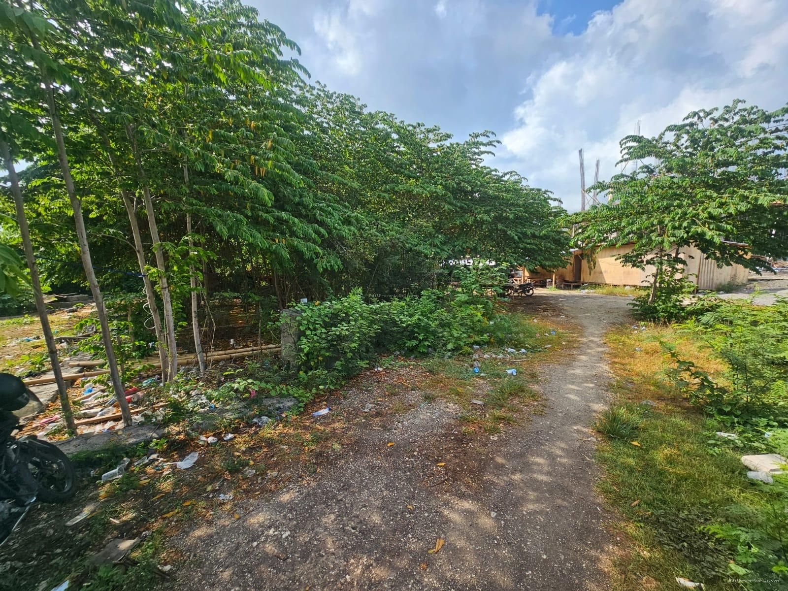 Tanah premium berawa canggu bali