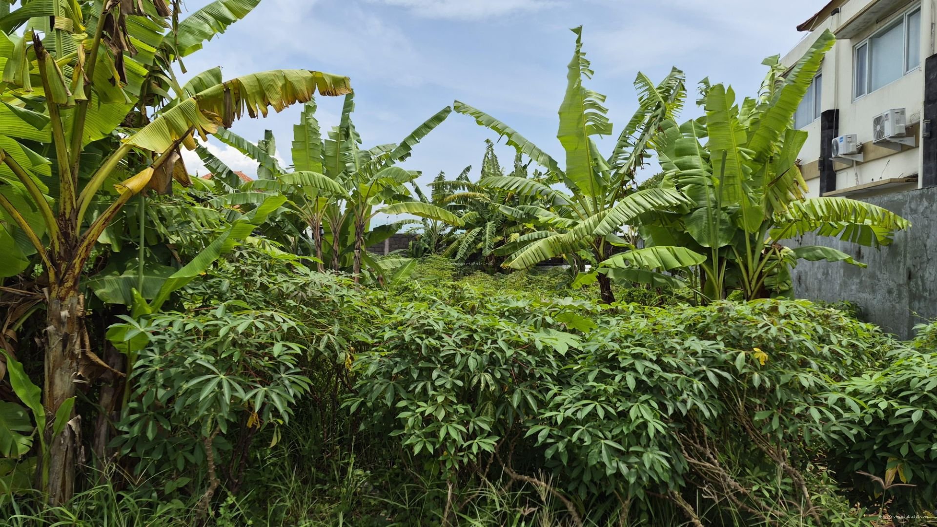 Tanah Premium Badak Agung Renon Denpasar